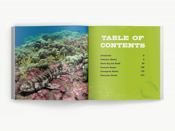 The Little Chunky Book of Sharks