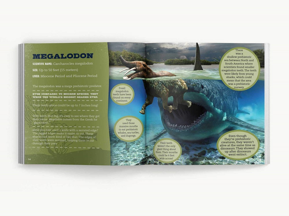 The Little Chunky Book of Sharks