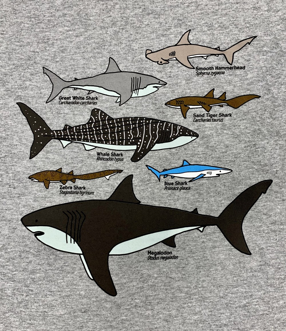 Youth LS Gray Shark Collage T-Shirt