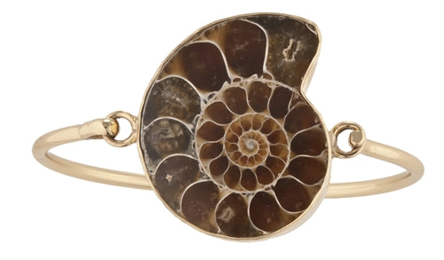 Fossil Ammonite & Alchemia Bangle