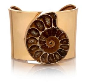 Ammonite Solid Cuff