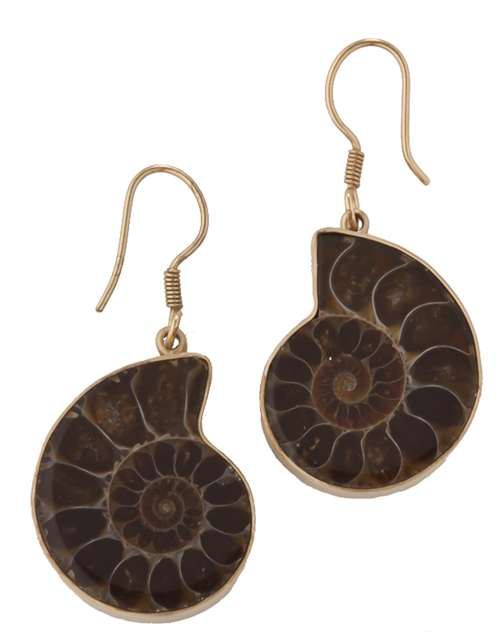 Fossil Ammonite & Alchemia Earrings