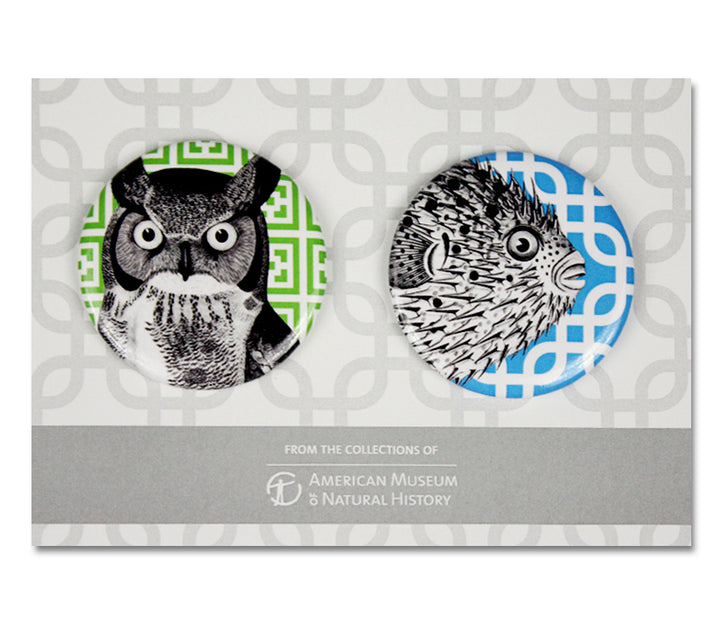 Natural Histories Magnet Set