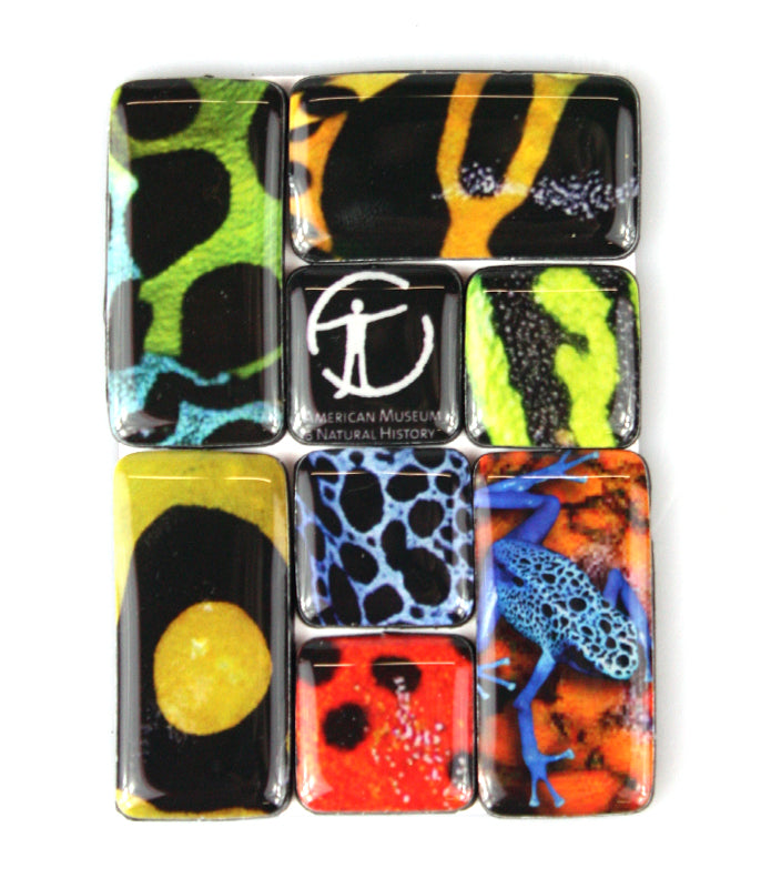 Poisonous Frog Mosaic Magnets