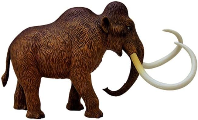 4D Vision Woolly Mammoth Anatomy Model complete