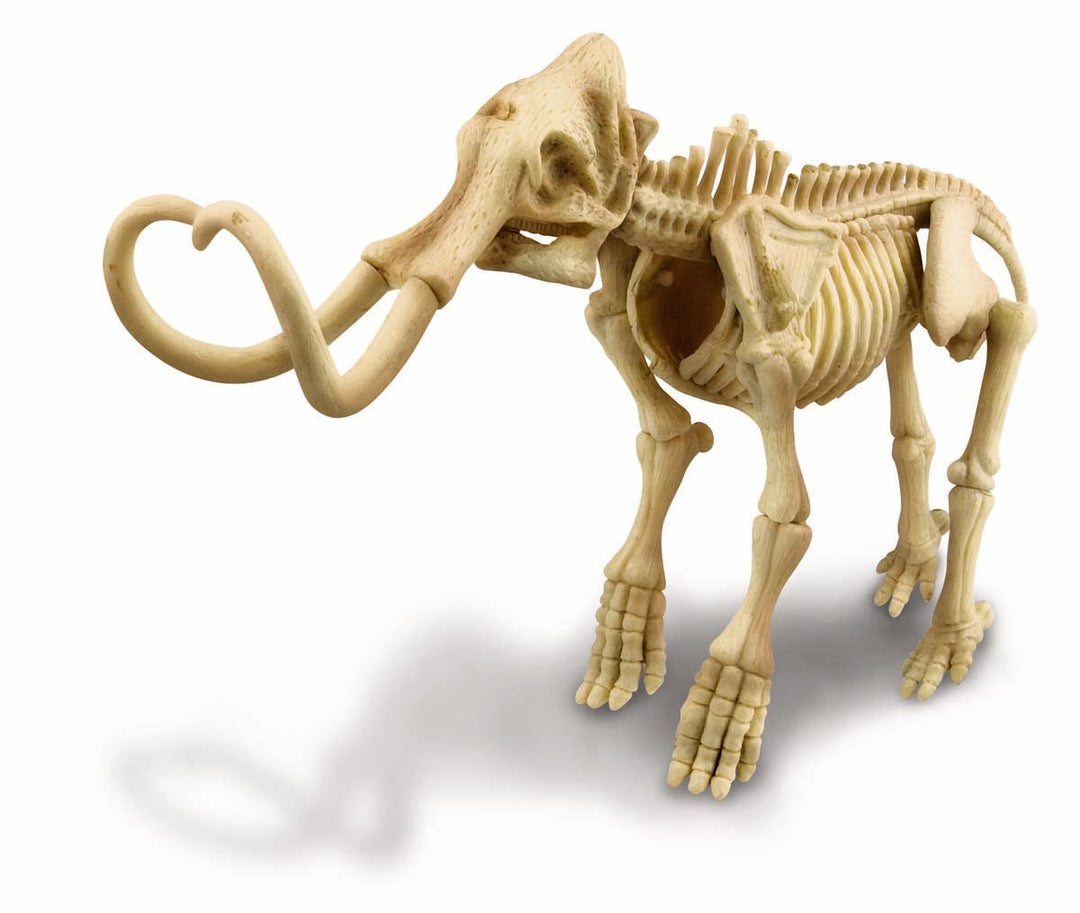 Dig A Mammoth Skeleton Kit