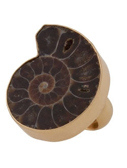 Fossil Ammonite & Alchemia Adjustable Ring