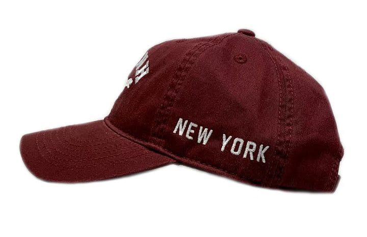 Youth Burgundy Embroidered AMNH Dino Cap Side