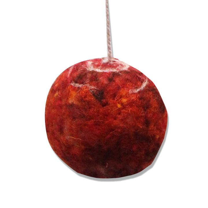 N3748 (2012) A new species of Urodacus (Scorpiones: Urodacidae) from Western Australia.