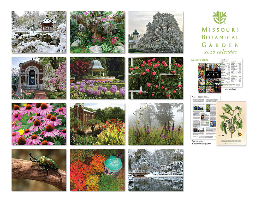 Beaded Hoop Earrings