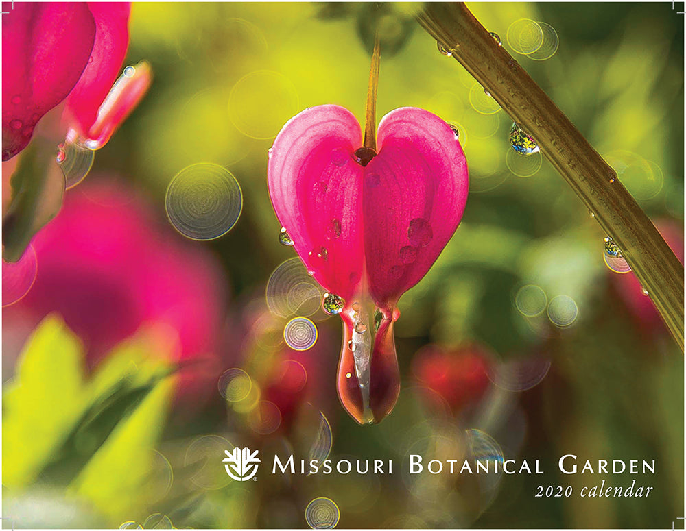 Beaded Hoop Earrings