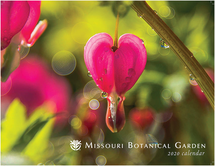 Beaded Hoop Earrings