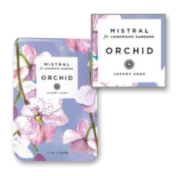 American Museum of Natural History Butterfly Silk Scarf