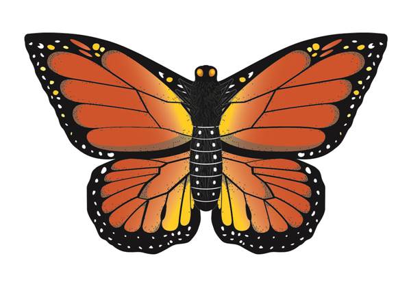 Assorted Butterfly Kites