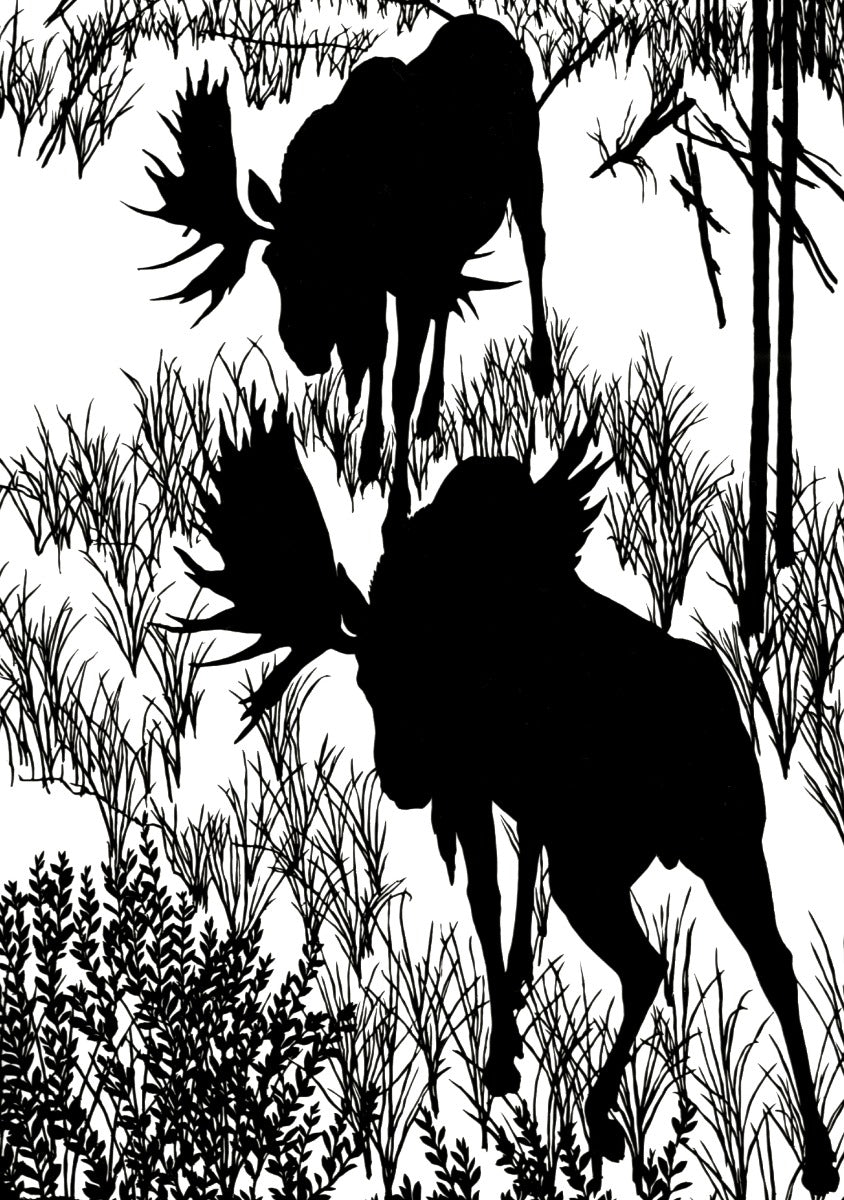 Silhouettes Boxed Notecards by Ugo Mochi