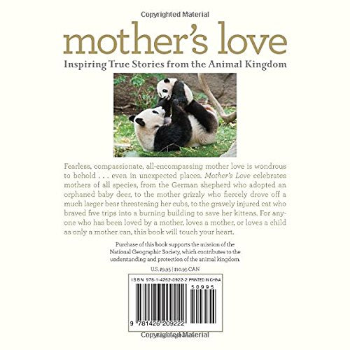 Mother's Love: Inspiring True Stories from the Animal Kingdom