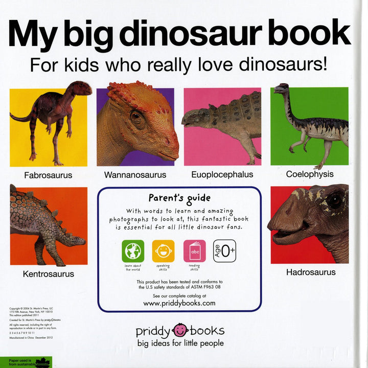 My Big Dinosaur Book