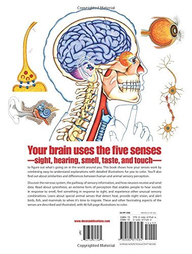 My First Book About The Five Senses