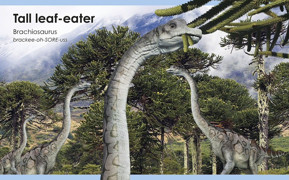 My First Dinosaur Board Book