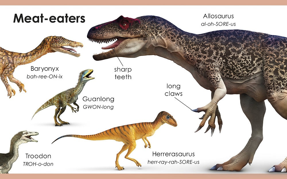 My First Dinosaur Board Book