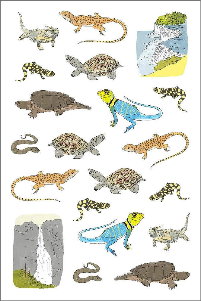 Nature Anatomy 750 Piece Sticker Book page 4
