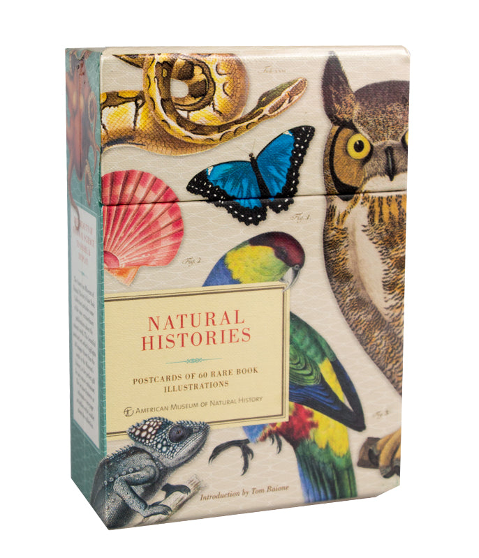 AMNH Natural Histories Postcard Set