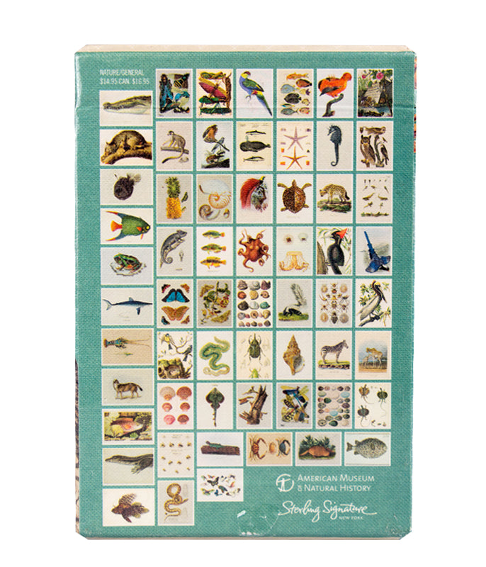 AMNH Natural Histories Postcard Set