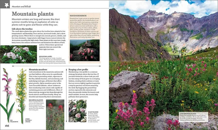 Audubon Nature Handbook