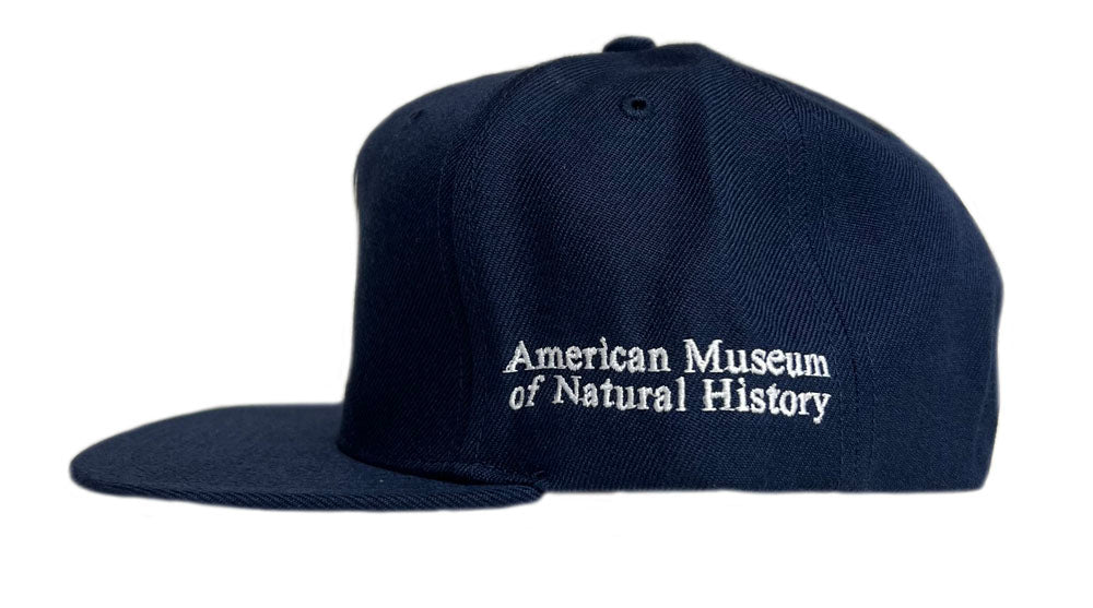 Exclusive AMNH NY Yankees Cap - Side