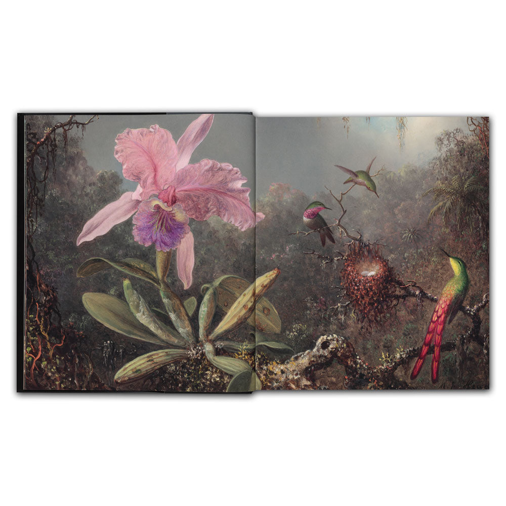 National Gallery of Art Collections