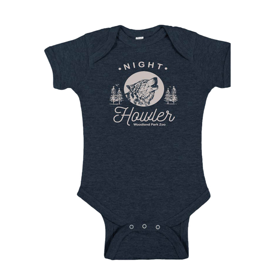 Seven Butterfly Specimens Framed