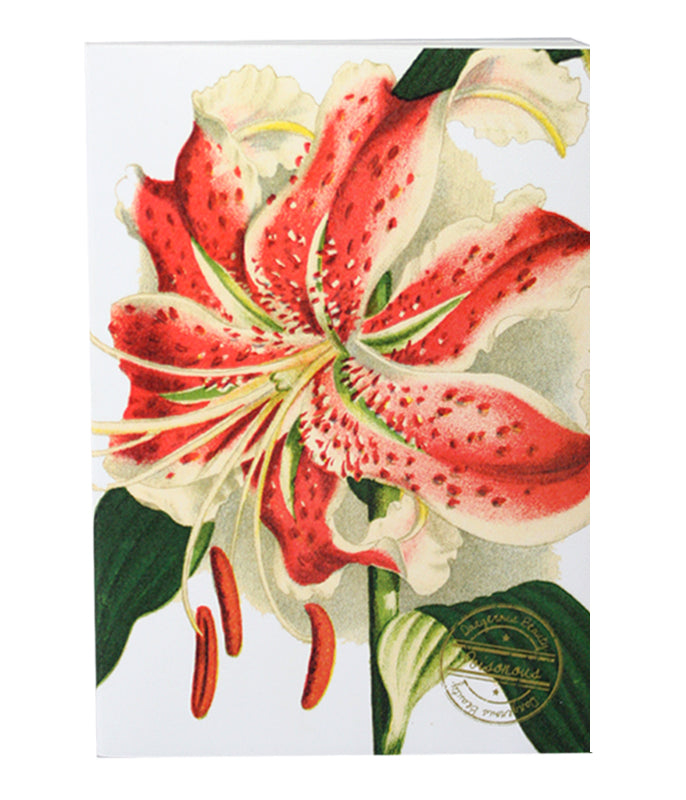 Dangerous Beauty Journal