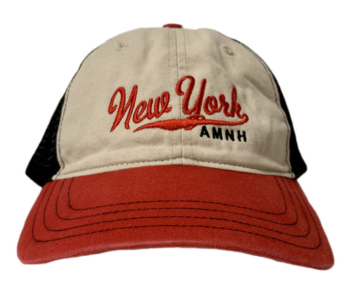 Adult Tri-Color Embroidered New York Trucker Cap