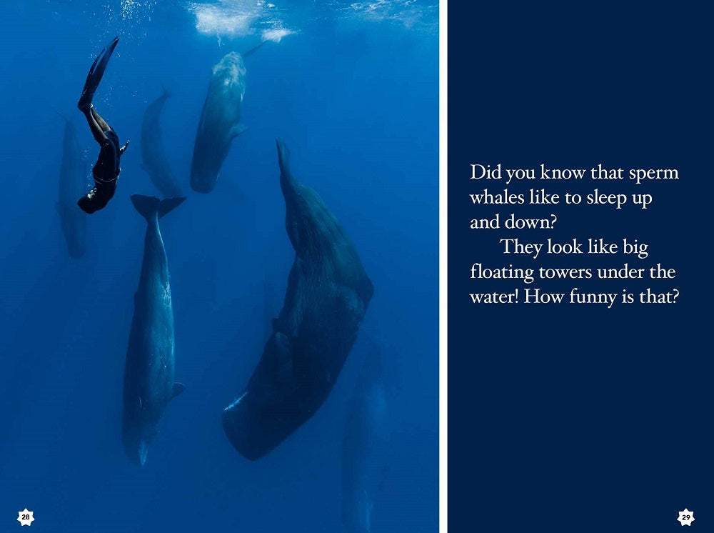 Ripley Readers Odd Ocean!