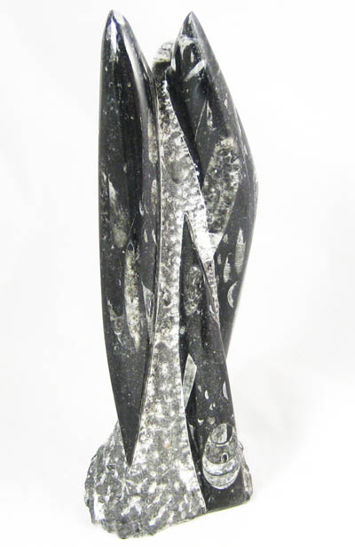 Orthoceras Fossil in Limestone Matrix Statue