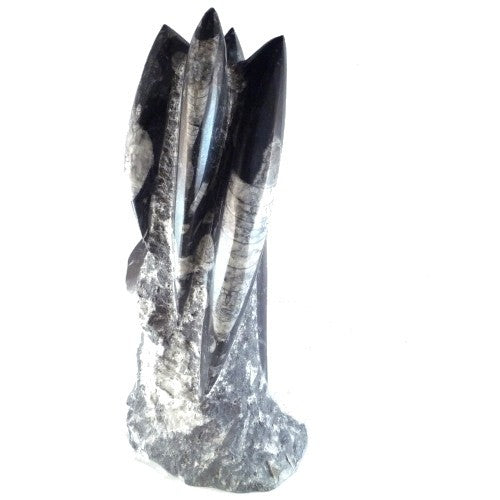 Orthoceras Fossil in Limestone Matrix Statue