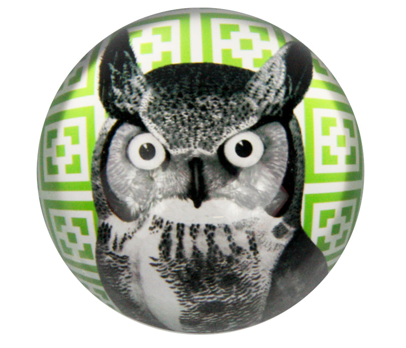 Owl Paperweight and Gift Box