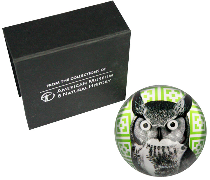 Owl Paperweight and Gift Box