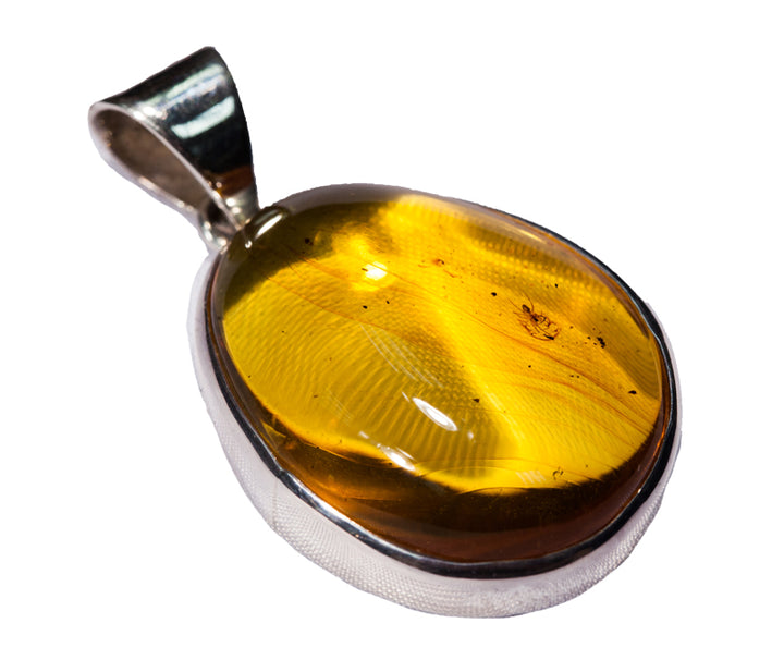 Amber Insect Pendant