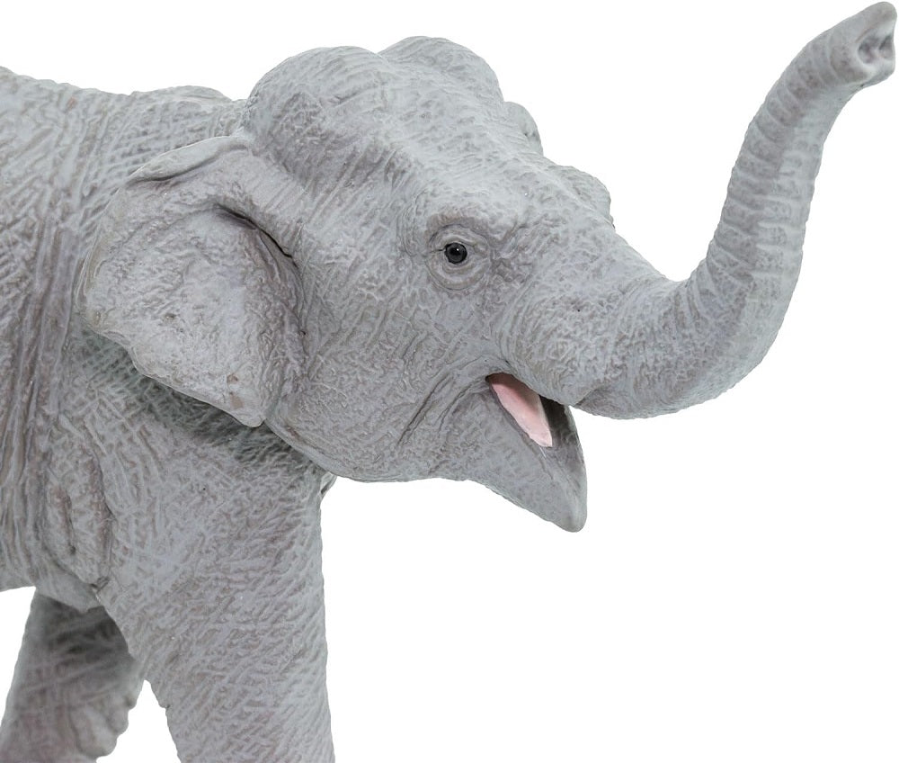 PVC 6.5 Inch Asian Elephant Closeup