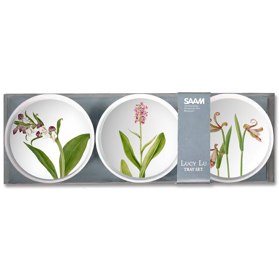 Fossil Ammonite & Alchemia Bangle