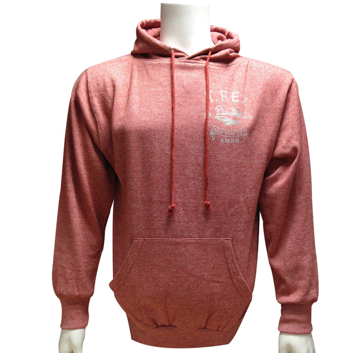 AMNH Central Park West Print