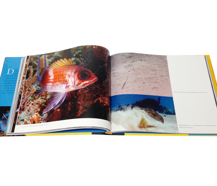 Reef Cuba: CUBA The Last Best Reefs in the World