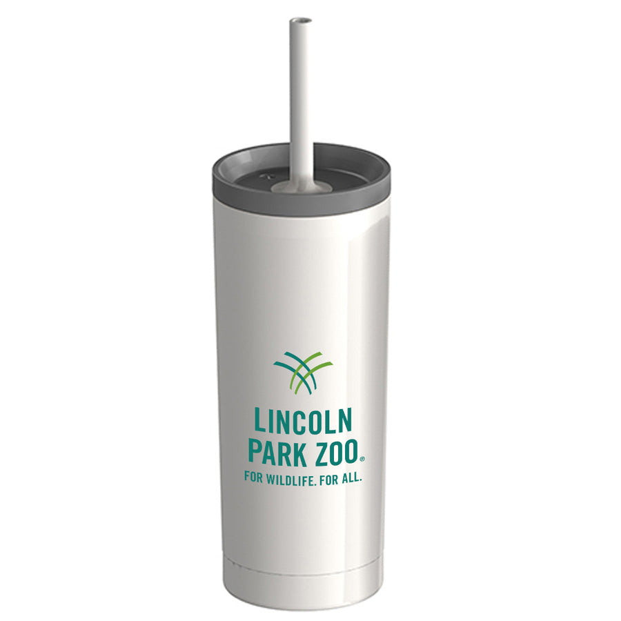 Organic Bamboo Laser Engraved Whale Coaster Set