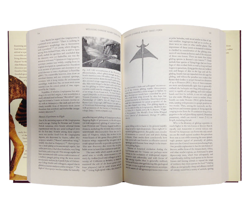 Riddle Feathered Dragons