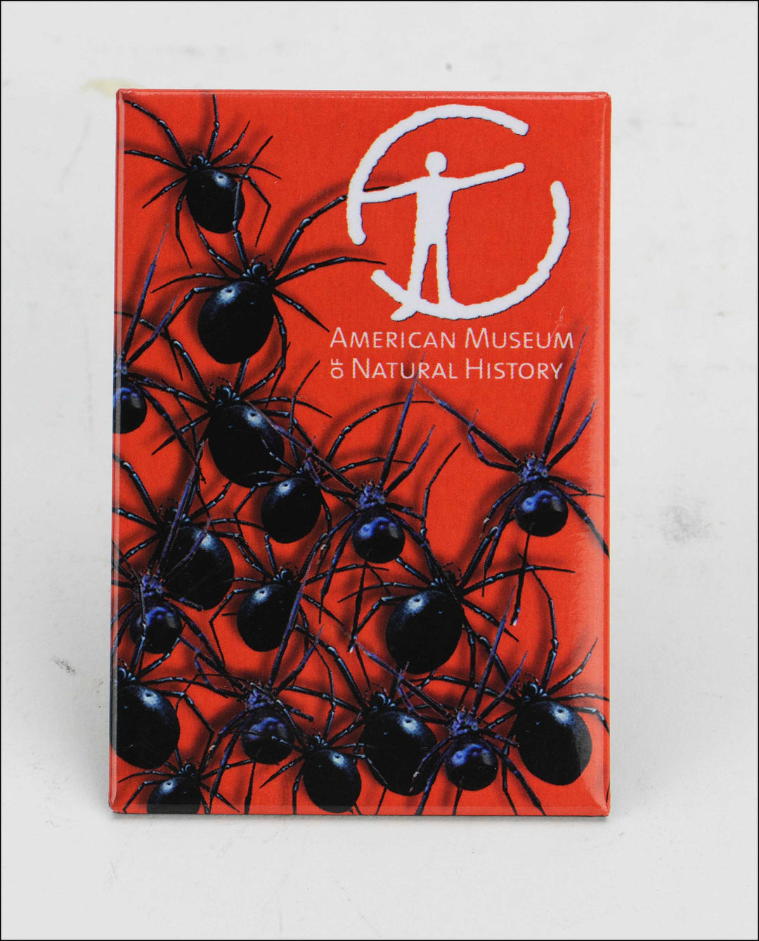 AMNH Spider Magnet