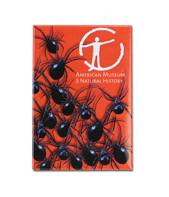 AMNH Spider Magnet