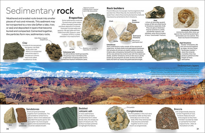 Eyewitness Rocks & Minerals