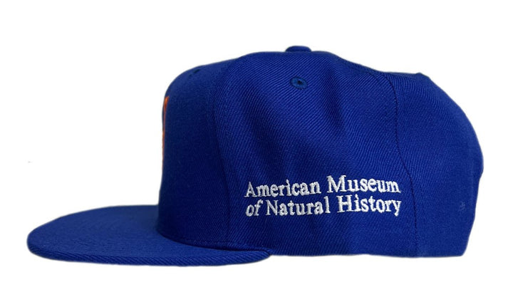 Exclusive AMNH NY Mets Cap Side