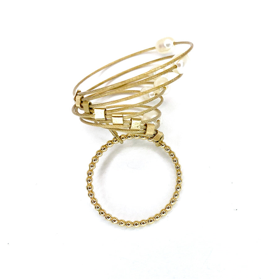 N3793 (2014) The Long-Tongued Cretaceous Scorpionfly Parapolycentropus Grimaldi and Rasnitsyn (Mecoptera: Pseudopolycentropodidae)